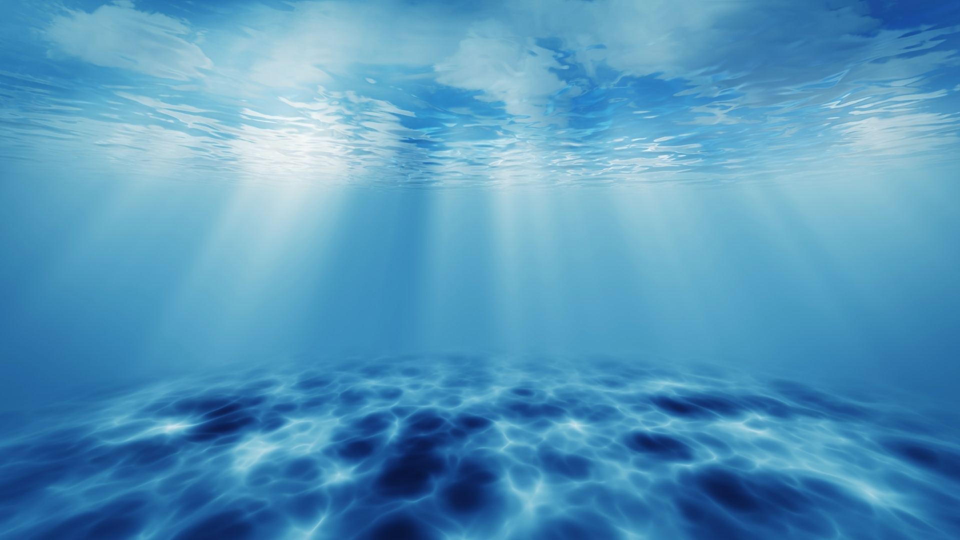 background hoa xanh dai duong