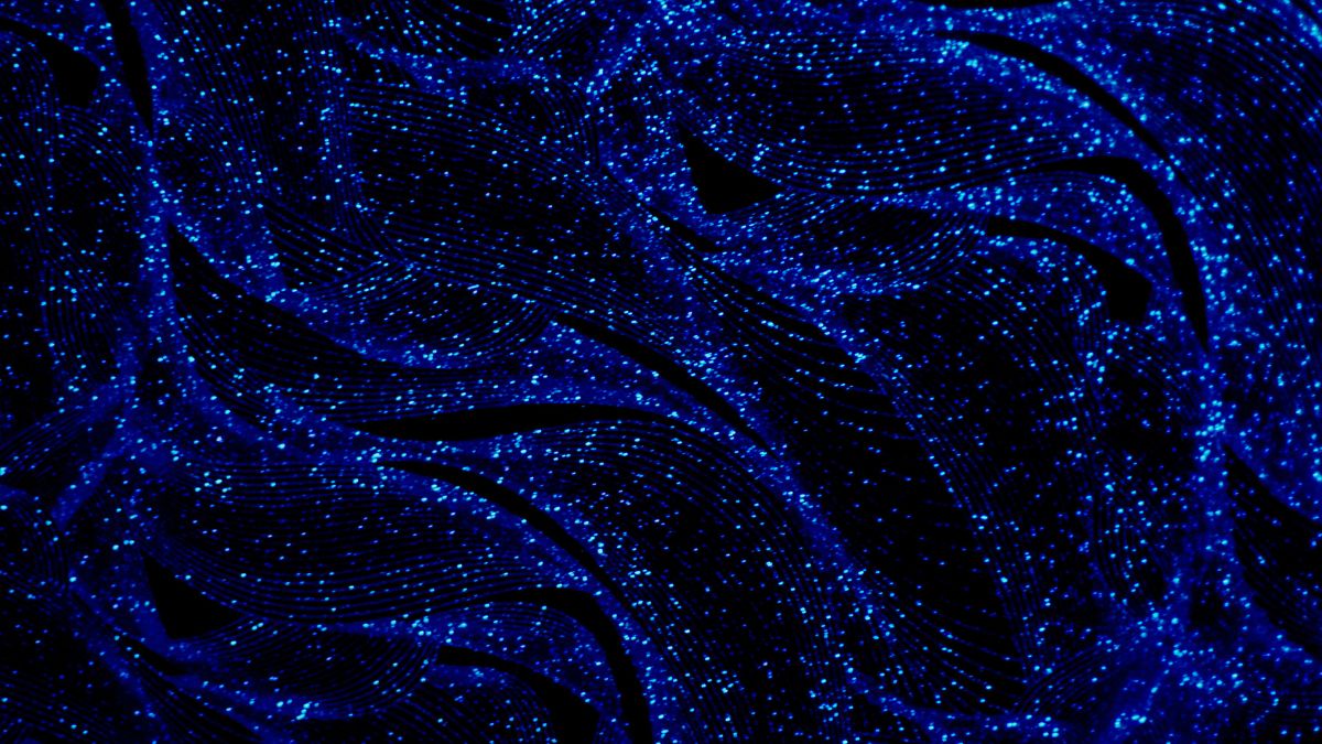 Background xanh đậm đơn giản mà ấn tượng