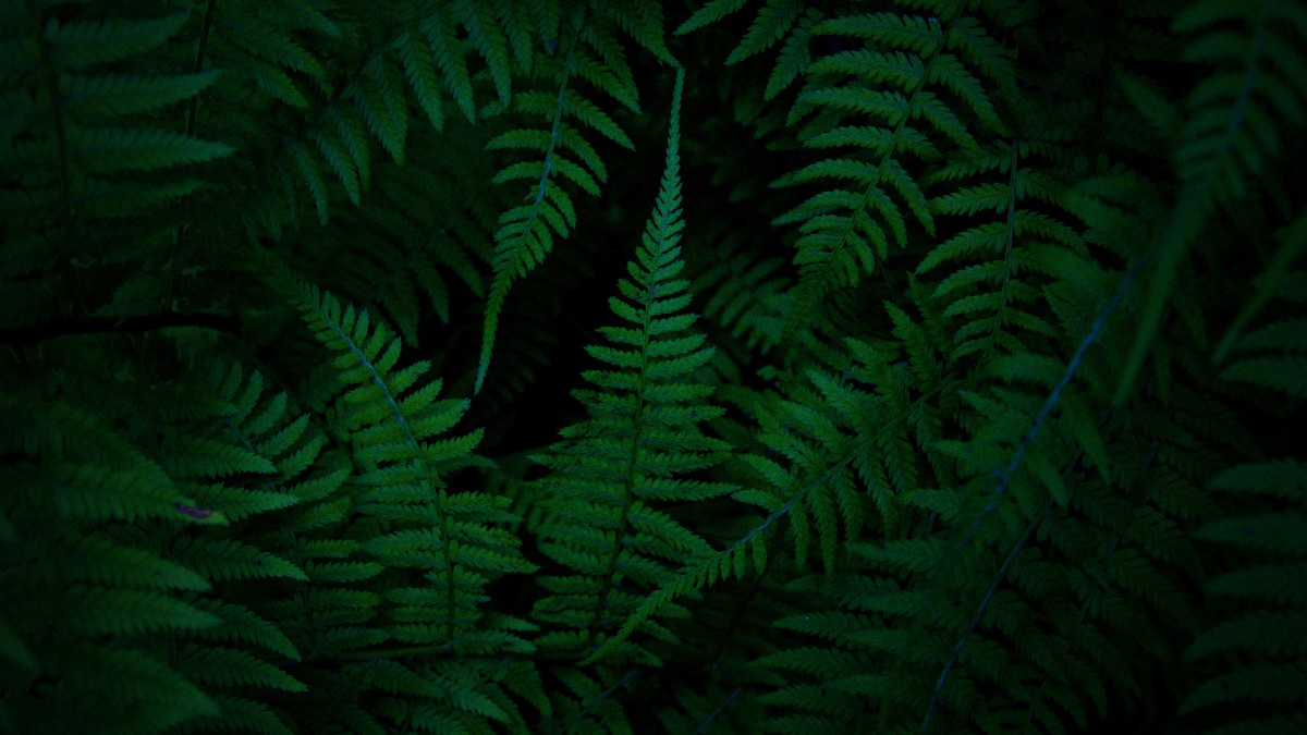 Background xanh với họa tiết cỏ cây hiện đại