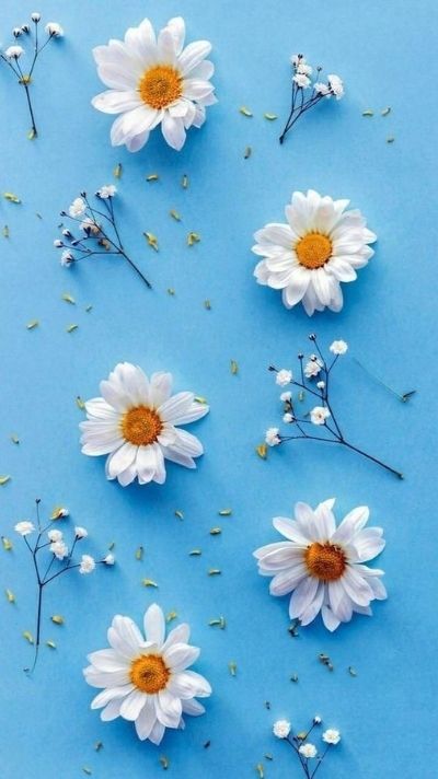 hình nền chủ đề hoa lá