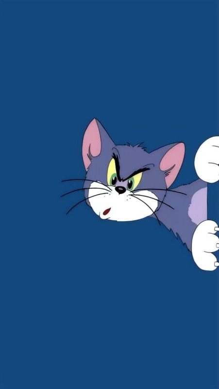 Hình nền mèo Tom 4K: Bộ sưu tập đẹp cho điện thoại và máy tính