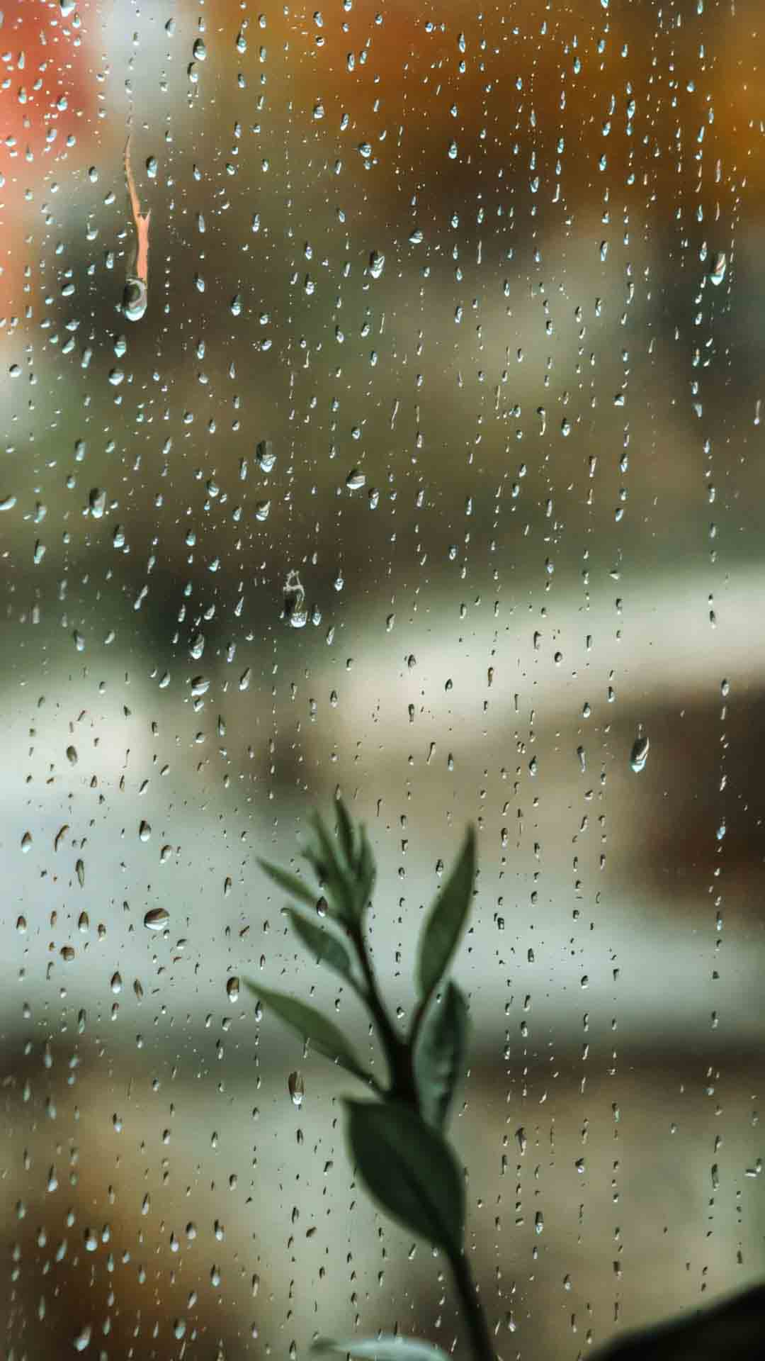 anh chill buon mua 1920px 1080px full hd 9