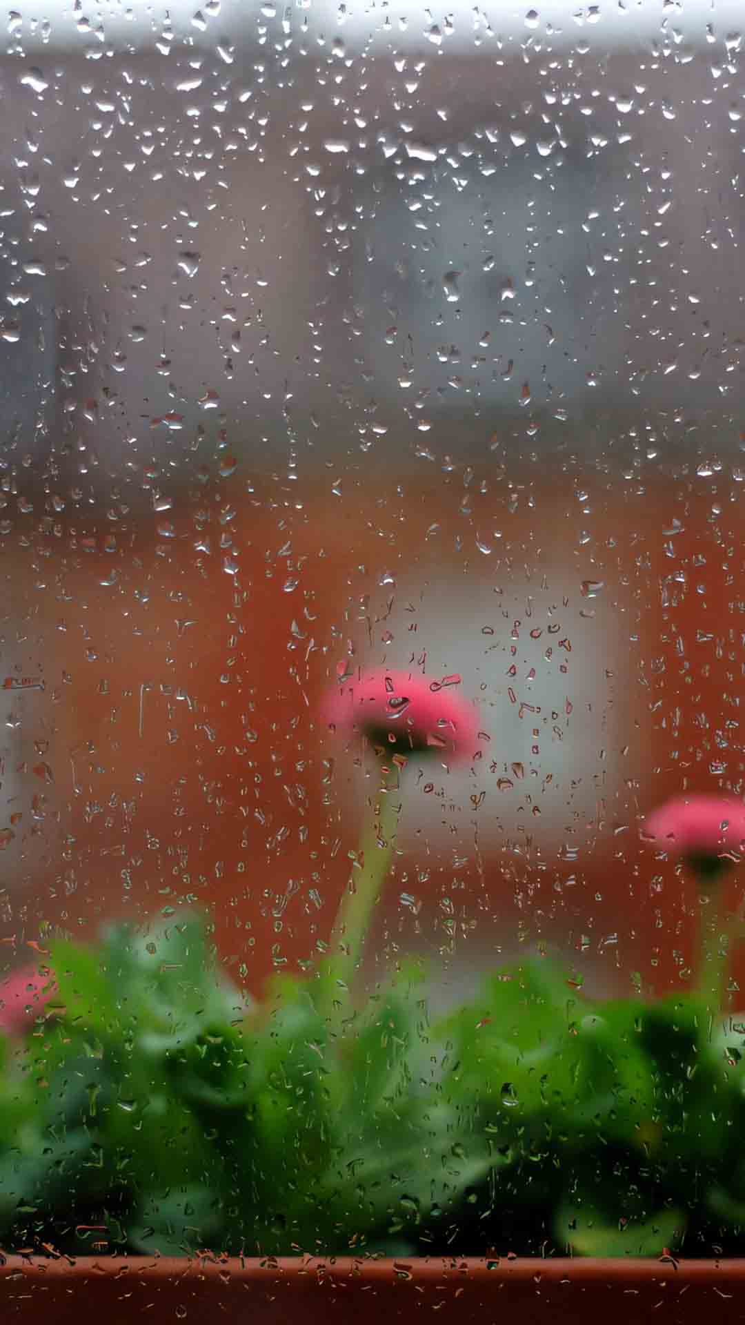 anh chill buon mua 1920px 1080px full hd 6