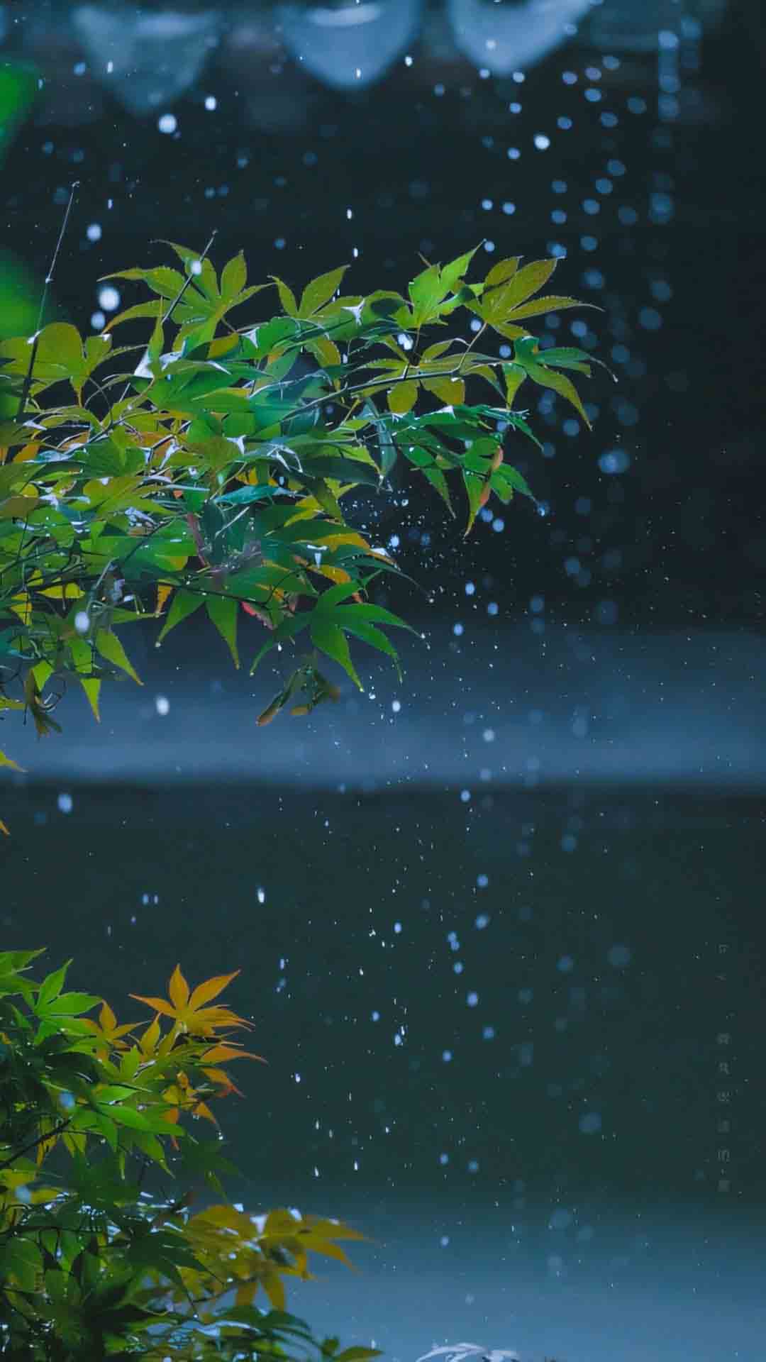 anh chill buon mua 1920px 1080px full hd 5