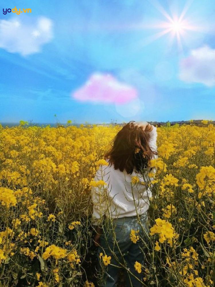 ảnh cô gái quay lưng