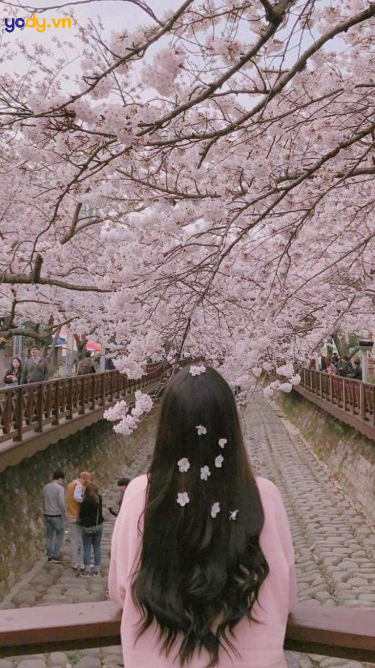 ảnh cô gái quay lưng