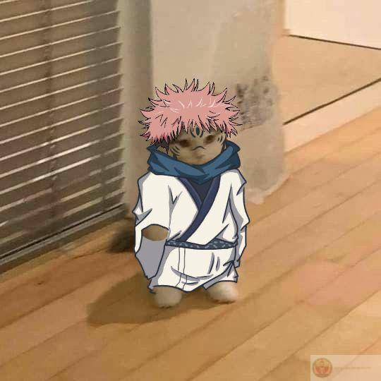 chia sẻ hình ảnh sukuna