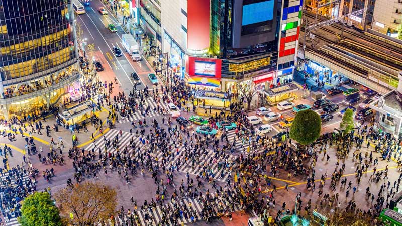 anh-thanh-pho-ve-dem-7