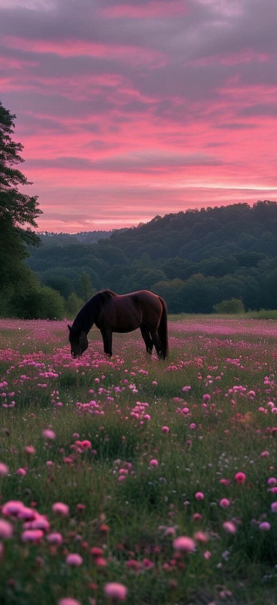 hinh-nen-ngua-may-man-cho-dien-thoai-40