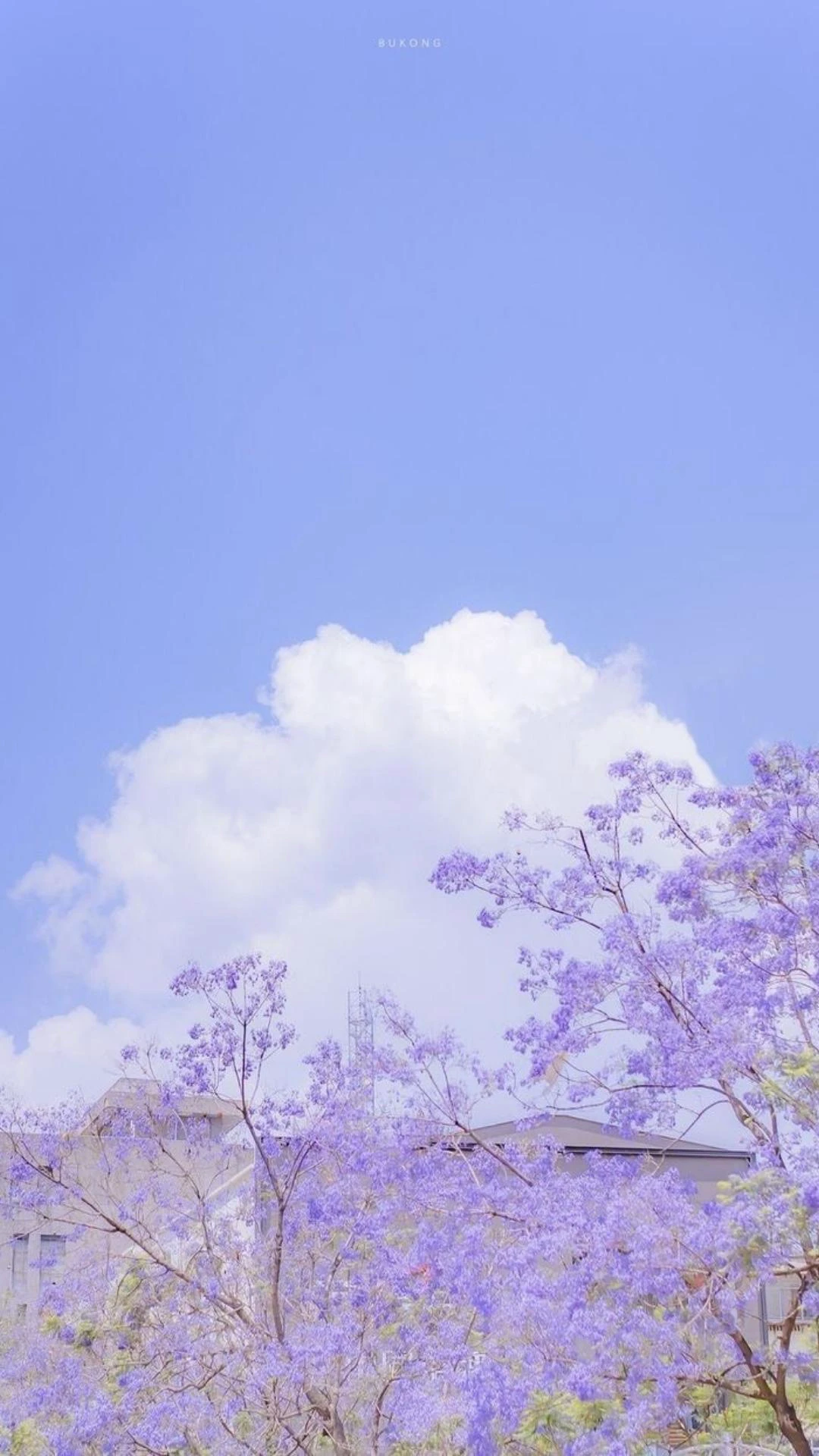 Hình nền Zalo cute