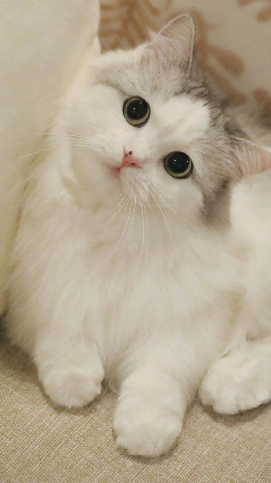 Gợi ý những hình nền Zalo đẹp, sắc nét