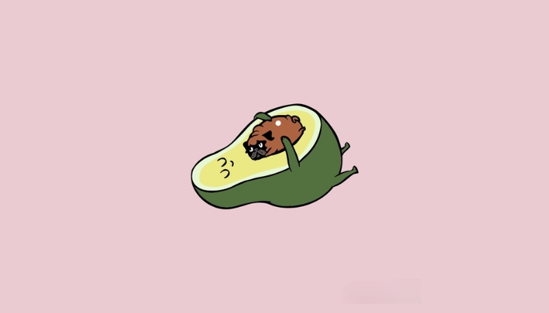 Hình nền trái bơ hài hước