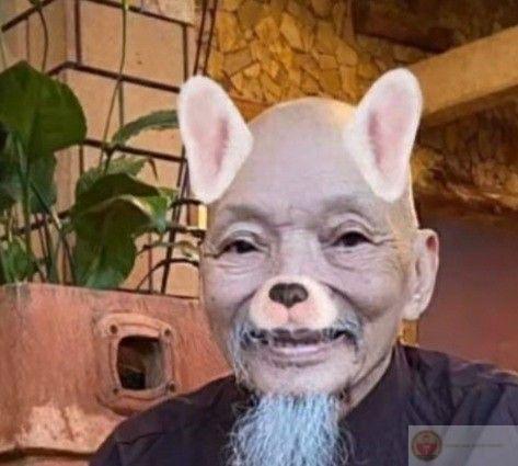 Một chiếc meme thầy ông nội khiến nhiều người gắn thẻ bạn bè để cùng cười