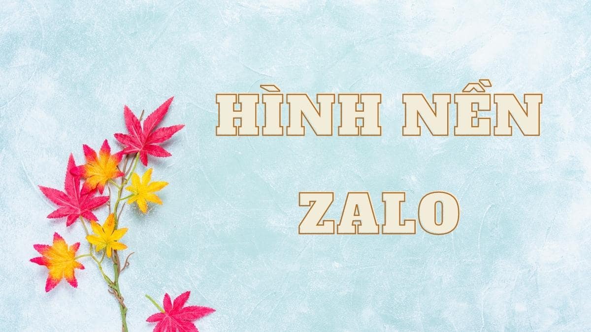 100+ Hình nền Zalo đẹp ngầu nam, nữ trên điện thoại, máy tính