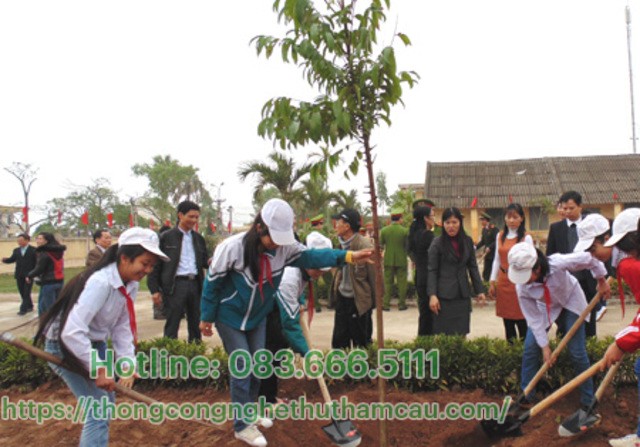 tích cực trồng cây xanh