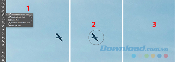 Layer Background trong Photoshop