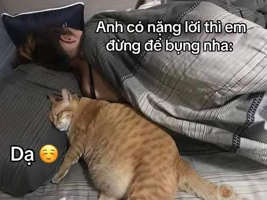 Meme không có chi