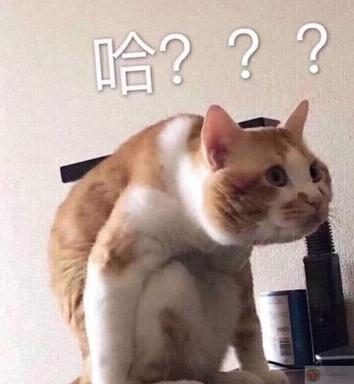 Meme không biết nói gì