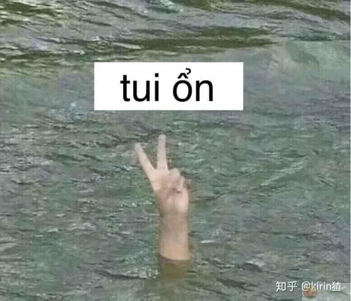 Một chiếc meme không có chi ngắn gọn nhưng đủ khiến người xem bật cười