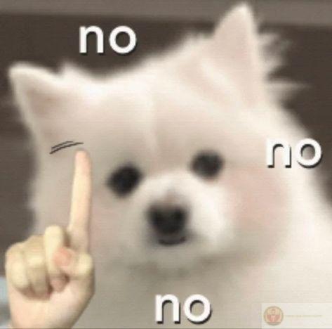 Ảnh Meme không hài hước và biểu cảm khó đỡ cực đáng yêu