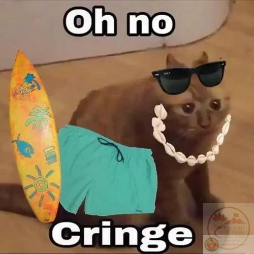 cringe cực bựa