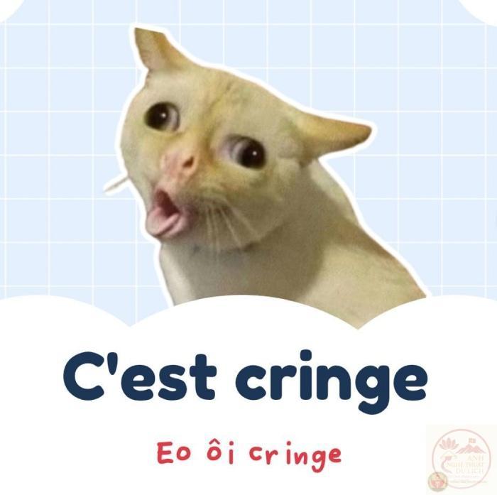 cringe hình chế