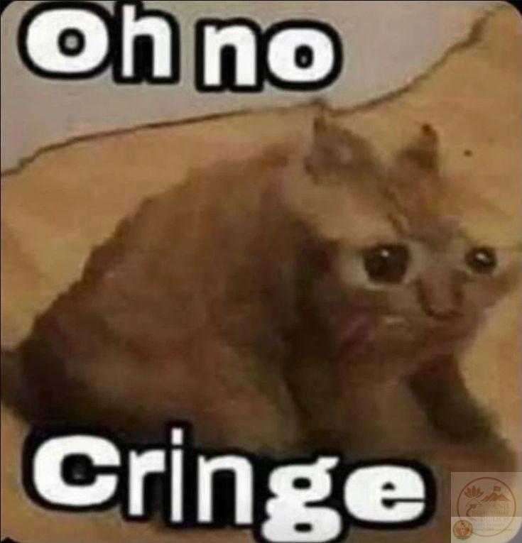 cringe là gì meme