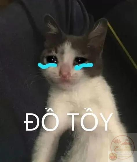 cringe ngượng ngạo