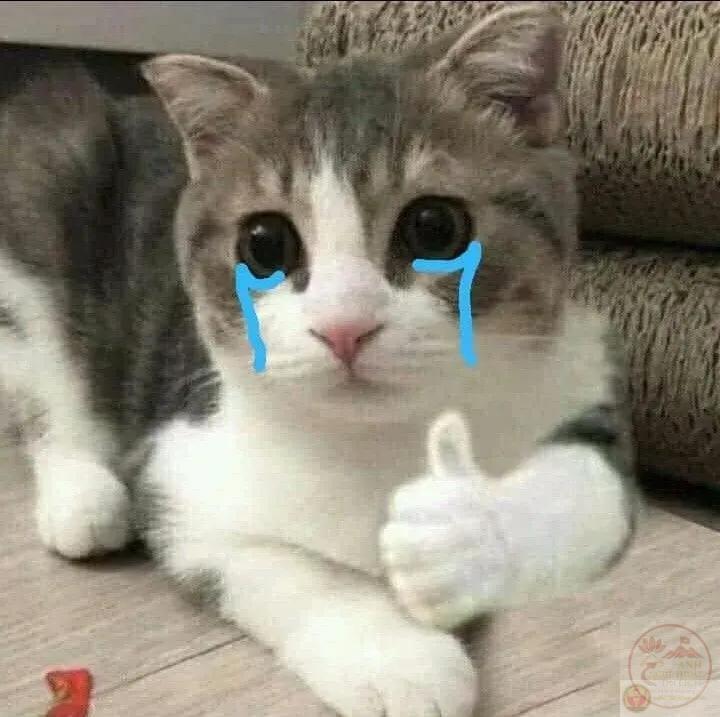 cringe đời thường