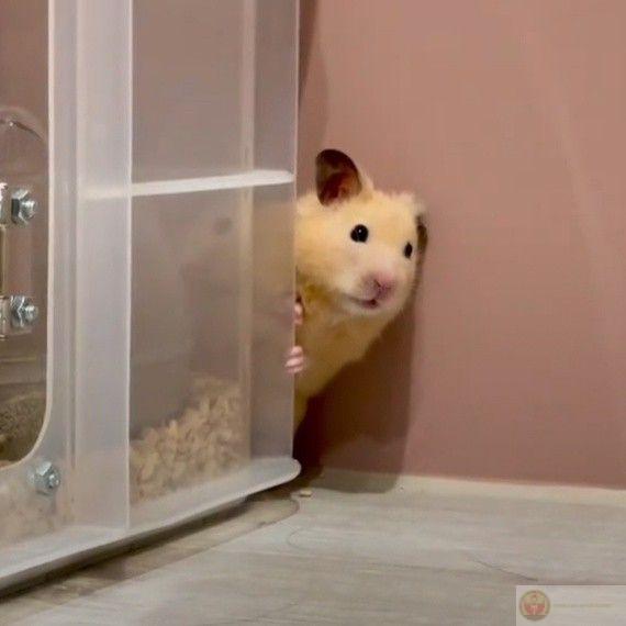 Những bức ảnh vui nhộn này khiến cư dân mạng luôn rộn ràng tiếng cười