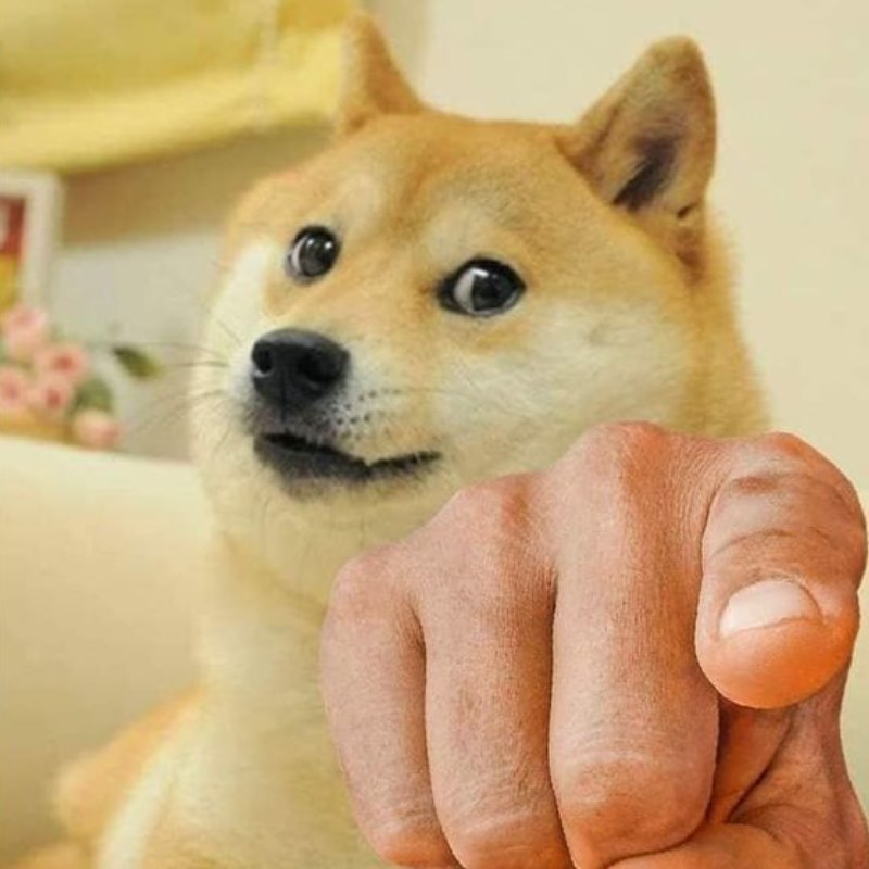 Meme Cheems chỉ trỏ