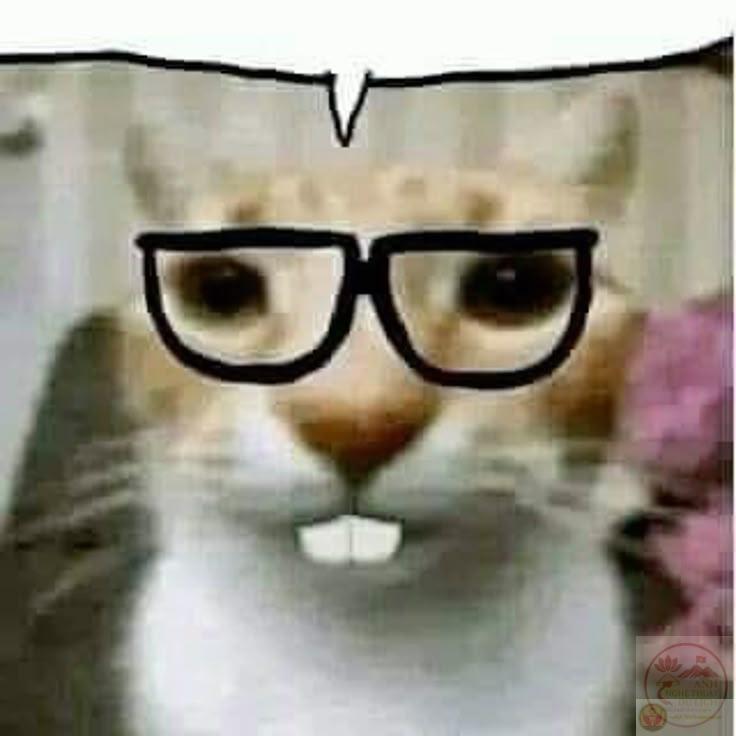 Hình chế nerd mang lại sự khác biệt cho kho tàng ảnh chế nhờ phong cách độc đáo