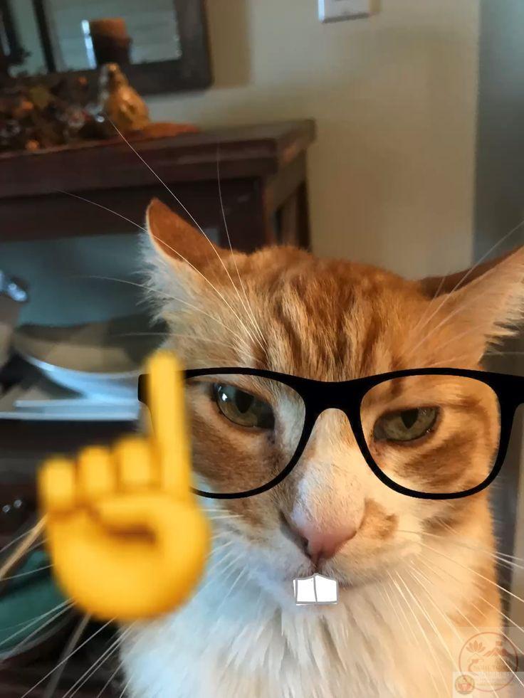 Một ảnh chế nerd được thêm phụ đề mỉa mai khiến người xem cười nghiêng ngả