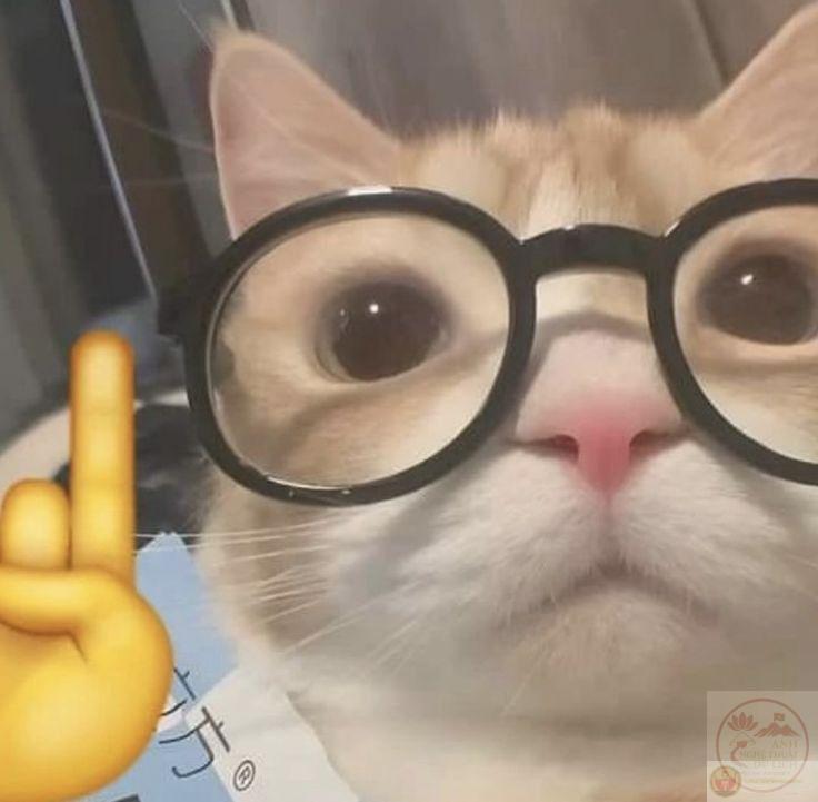 Nerd emoji trở thành công cụ biểu đạt độc đáo khi cần một nụ cười