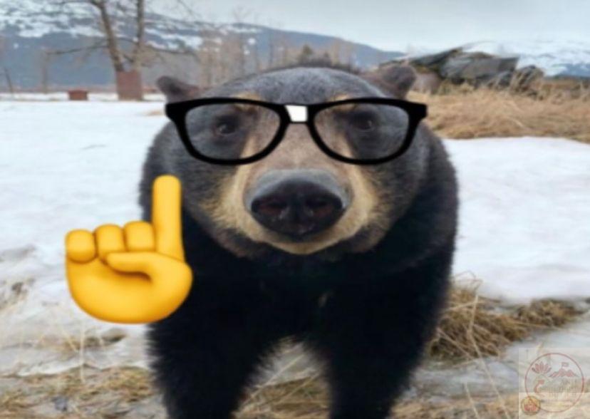 Nerd emoji gắn liền với gương mặt đeo kính hài hước được dùng rộng rãi