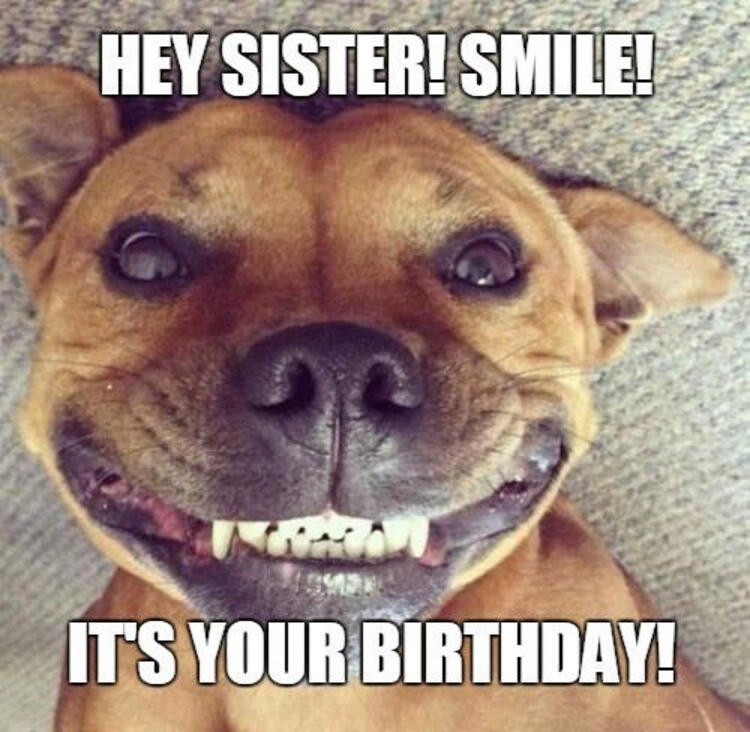 Những meme chúc mừng sinh nhật bựa nhất