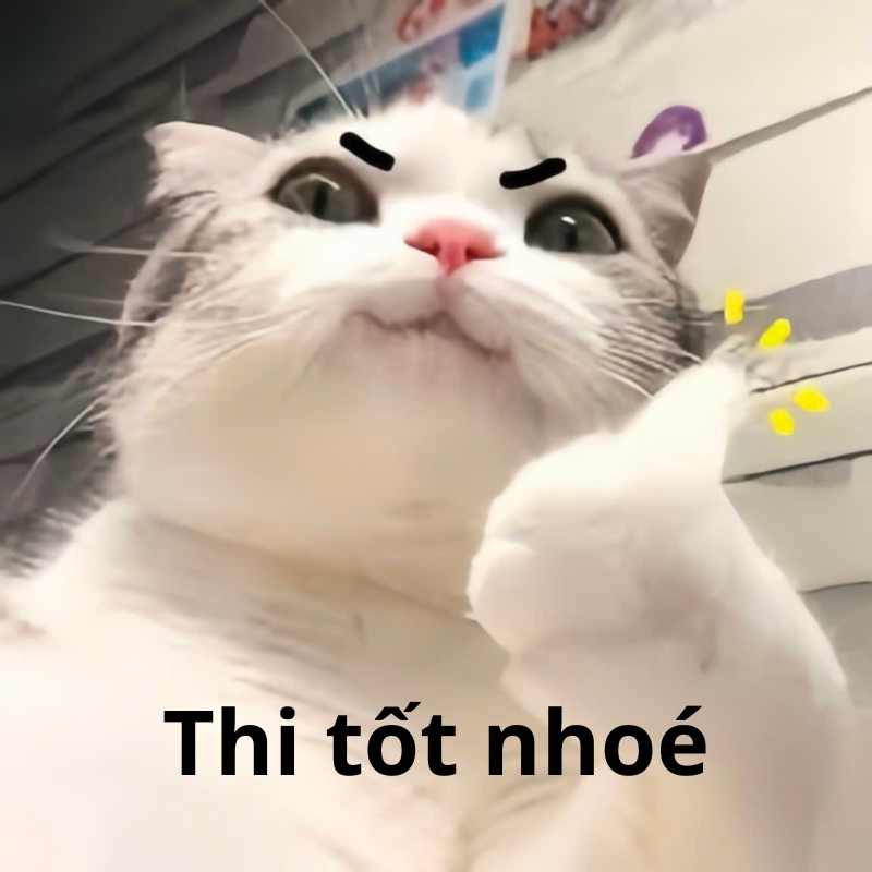 Các ảnh meme mèo chúc thi tốt