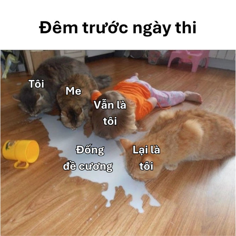 Các meme chúc bạn thi tốt truyền động lực, cảm hứng