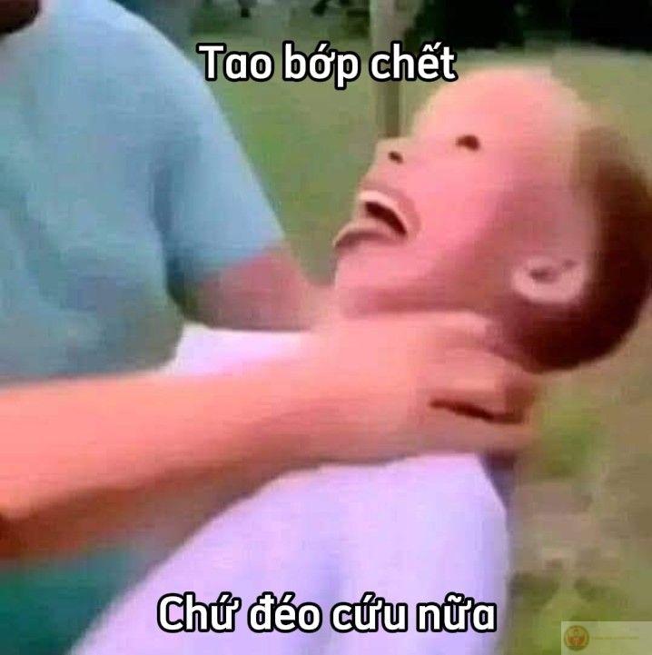 Meme chửi người ngu phản ánh sự châm biếm táo bạo thường thấy trong chế ảnh vui