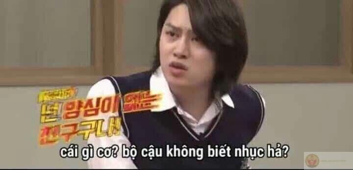 Meme chửi khách giúp cuộc trò chuyện trở nên vui nhộn và nhiều màu sắc hơn