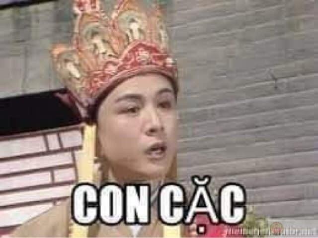 Meme chửi bạn thể hiện sự troll thân thiết khiến mọi cuộc trò chuyện thêm thú vị