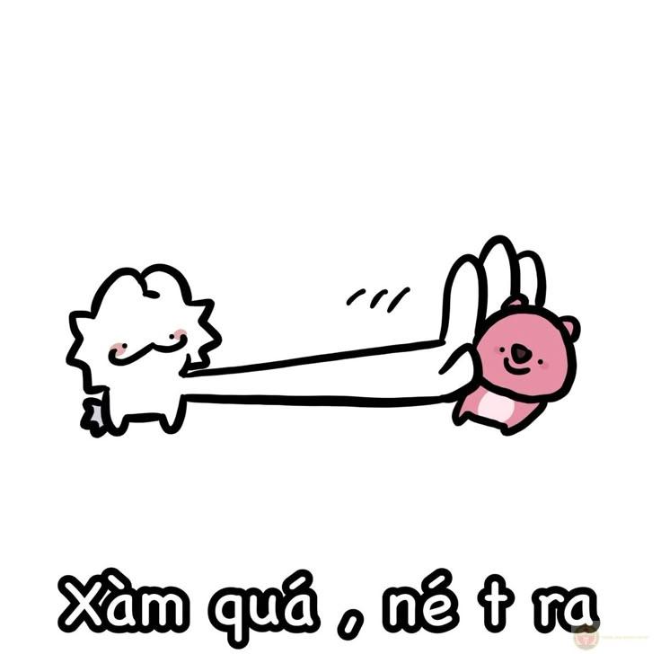 Hình ảnh chửi khéo là sự lựa chọn hoàn hảo cho những ai thích sự tinh tế hài hước