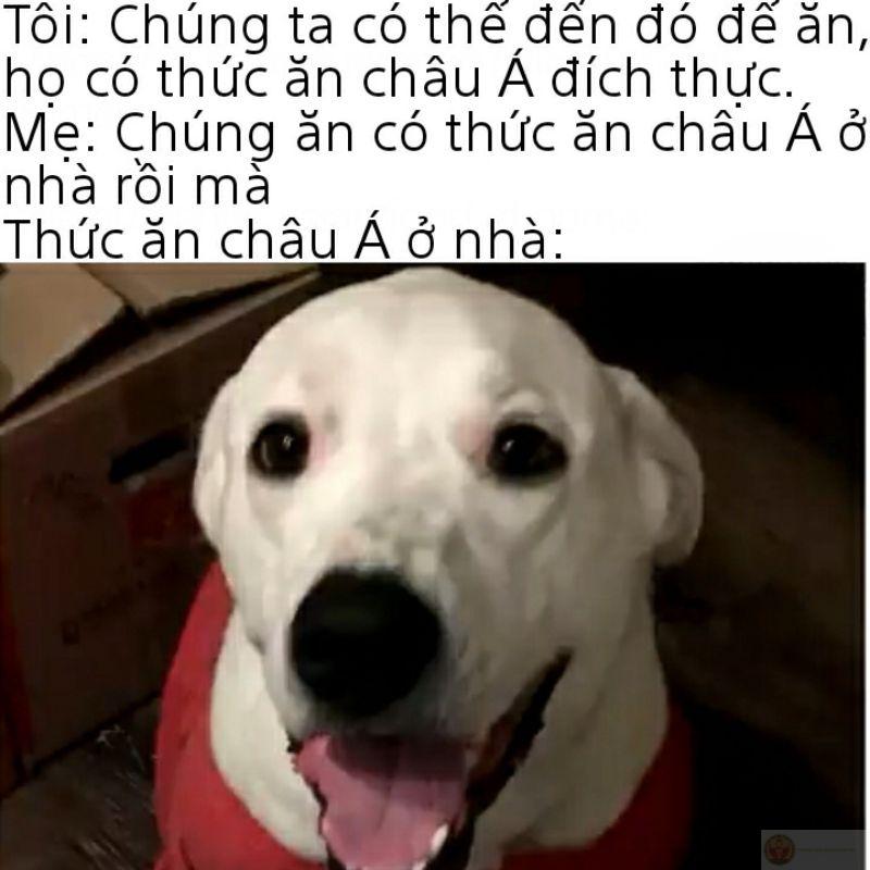 ảnh dak meme cực tối