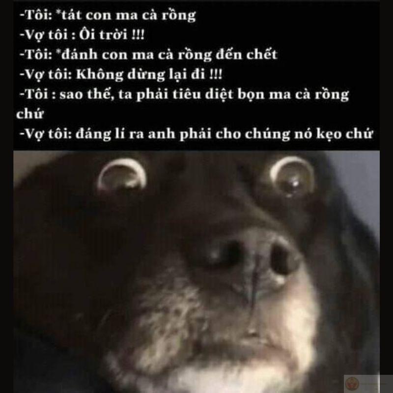 ảnh dark meme chế cực tối