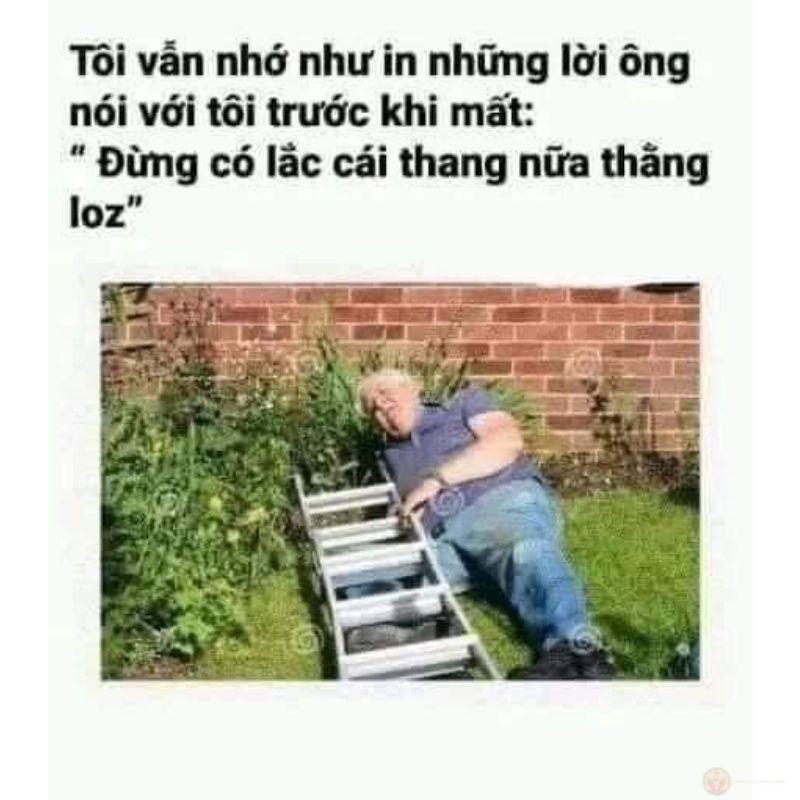 meme dak chế