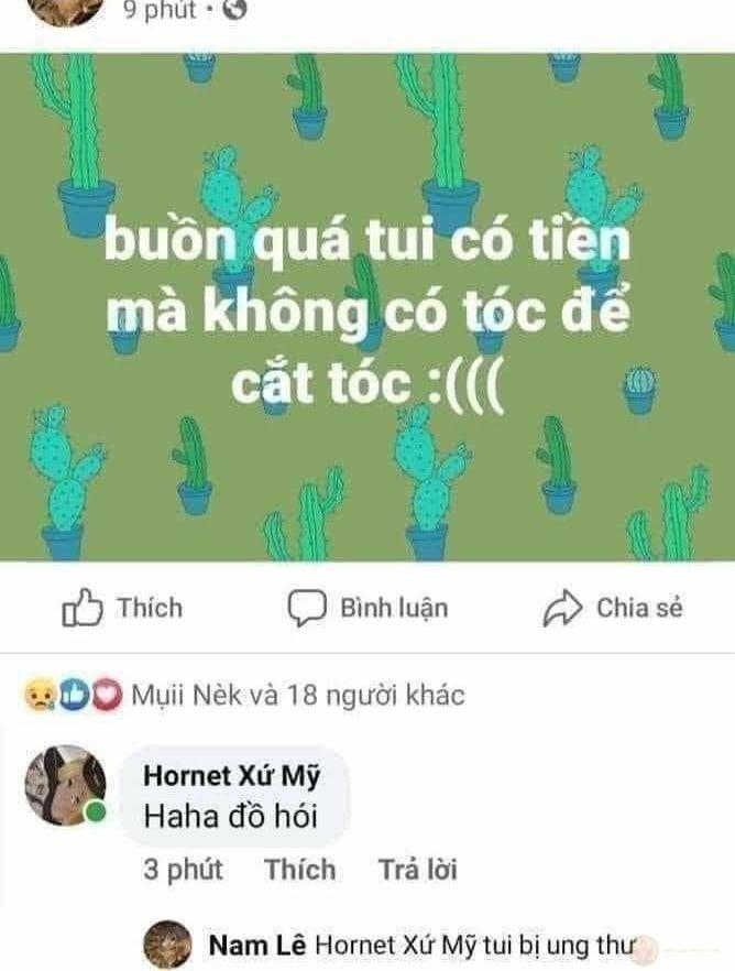 Meme tối dak nhất