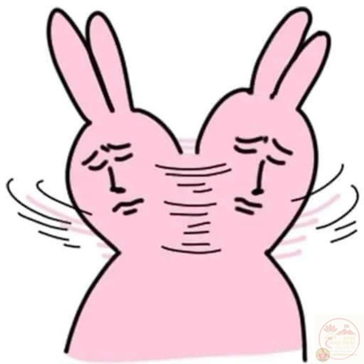 Bức hình né tránh ánh nhìn đã lột tả tinh thần từ chối một cách thật hài hước