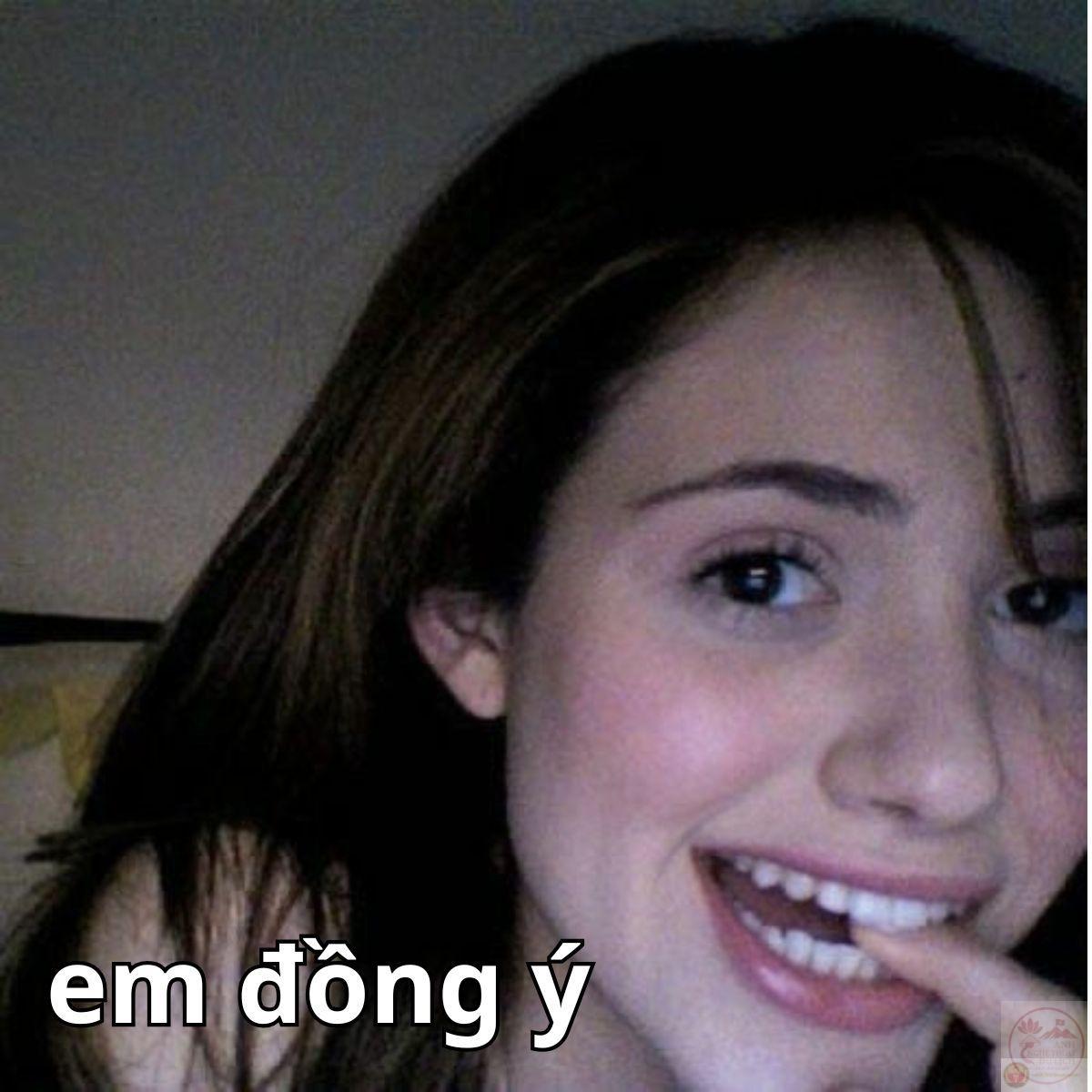 Ảnh meme em đồng ý