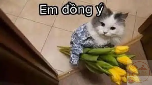 Nụ cười tươi sáng kết hợp cùng cái gật đầu tạo khoảnh khắc đồng ý cực dí dỏm