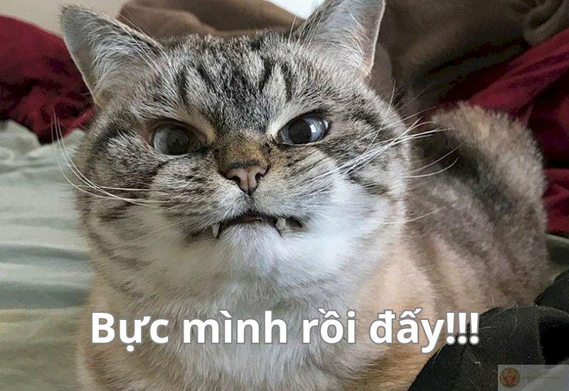 Dỗi xong tự hết, vì không ai quan tâm